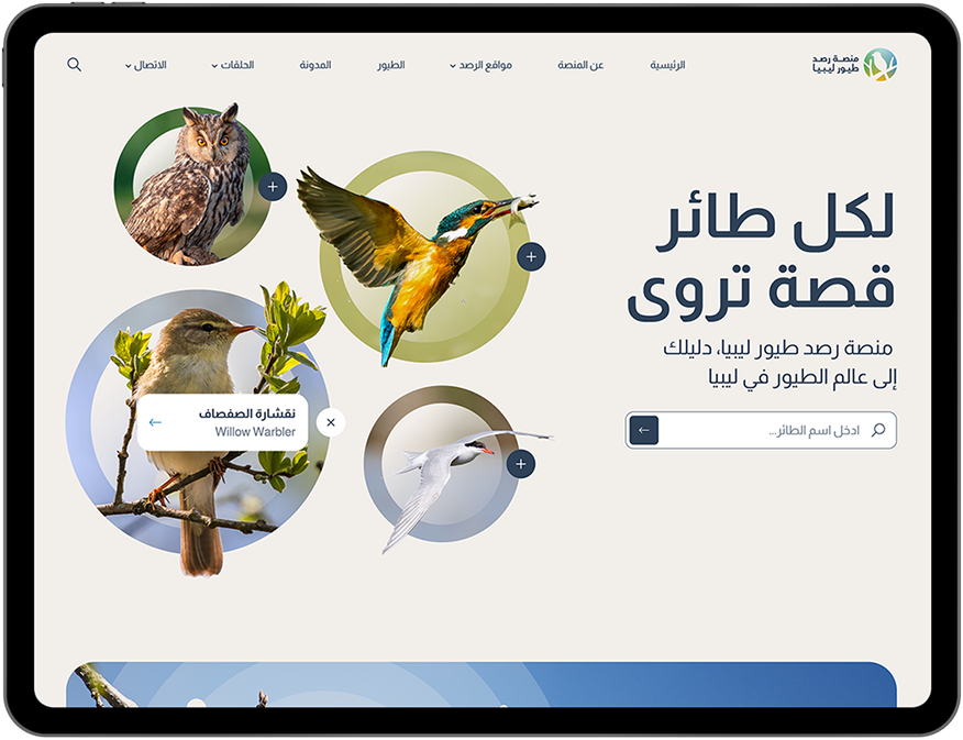 الطيور 5 birds ipada 34122982
