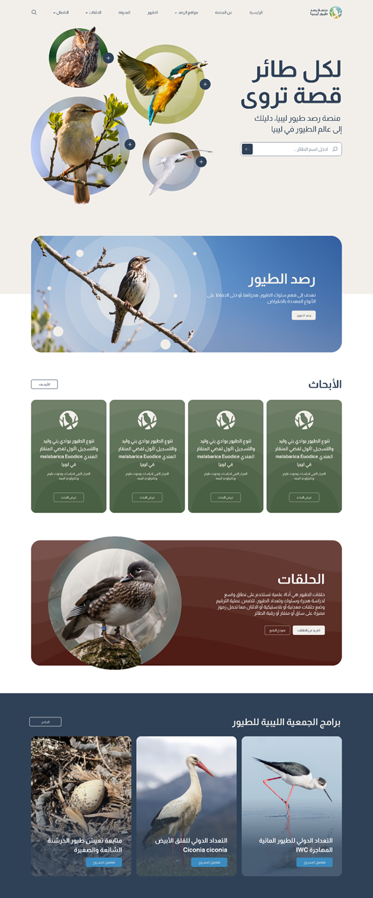birds homepage 1 aa76452c