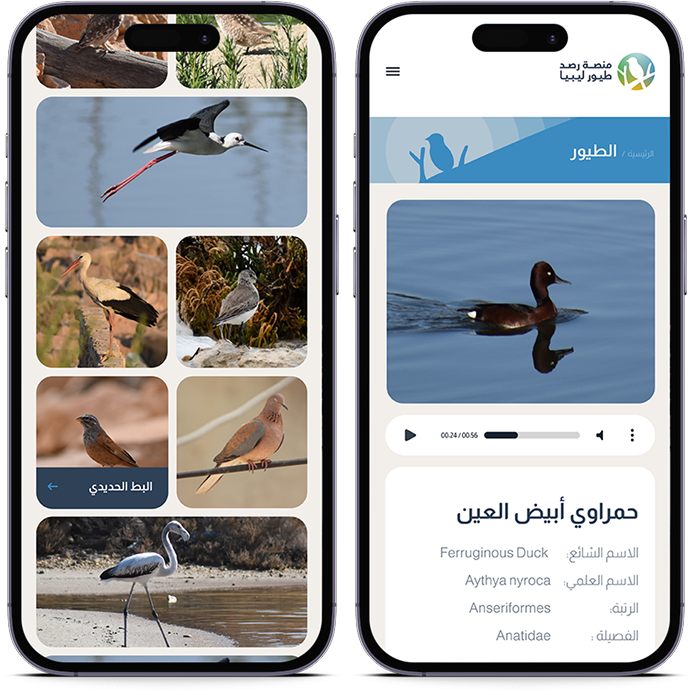 الطيور 6 mobile birds fa40063c