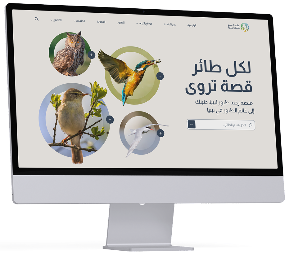 birds feautred image 1 0942cdc4