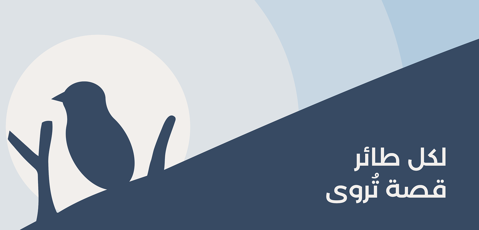 video image 43cfaaba