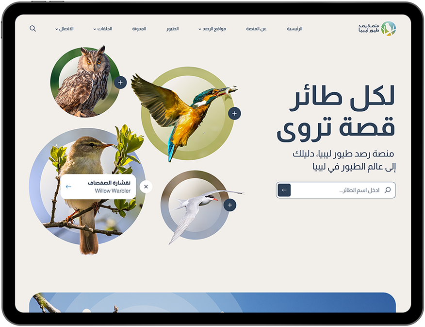 birds desktop