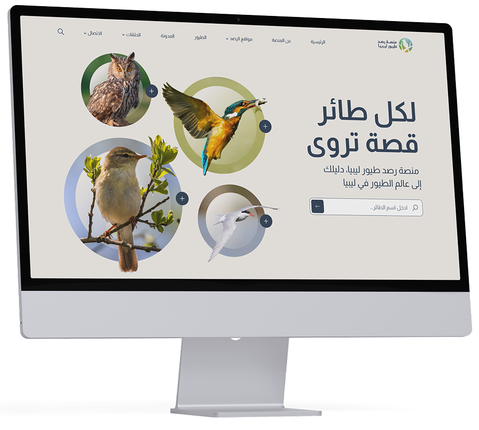 birds main image