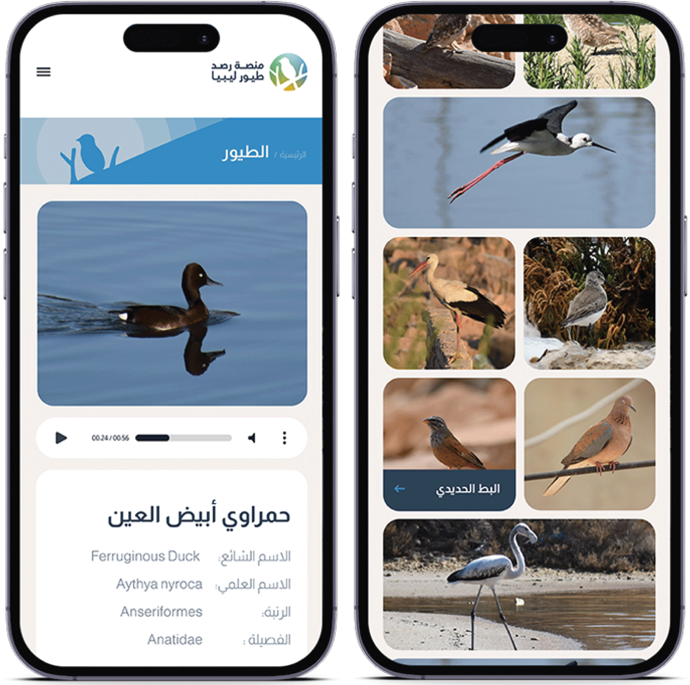birds mobile 3