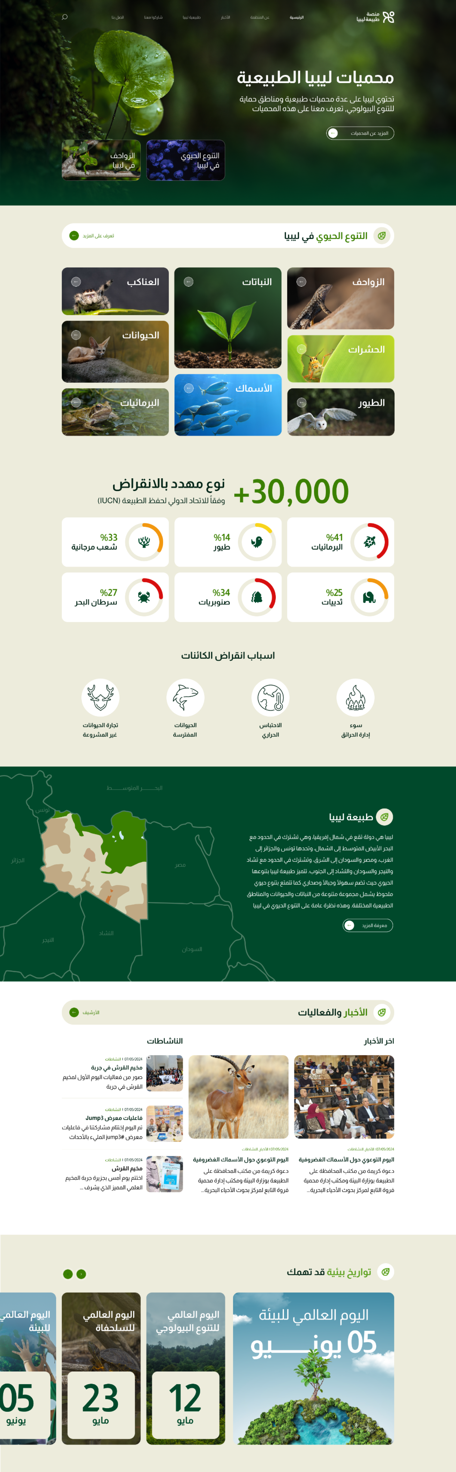 Main Gallery1 15016392