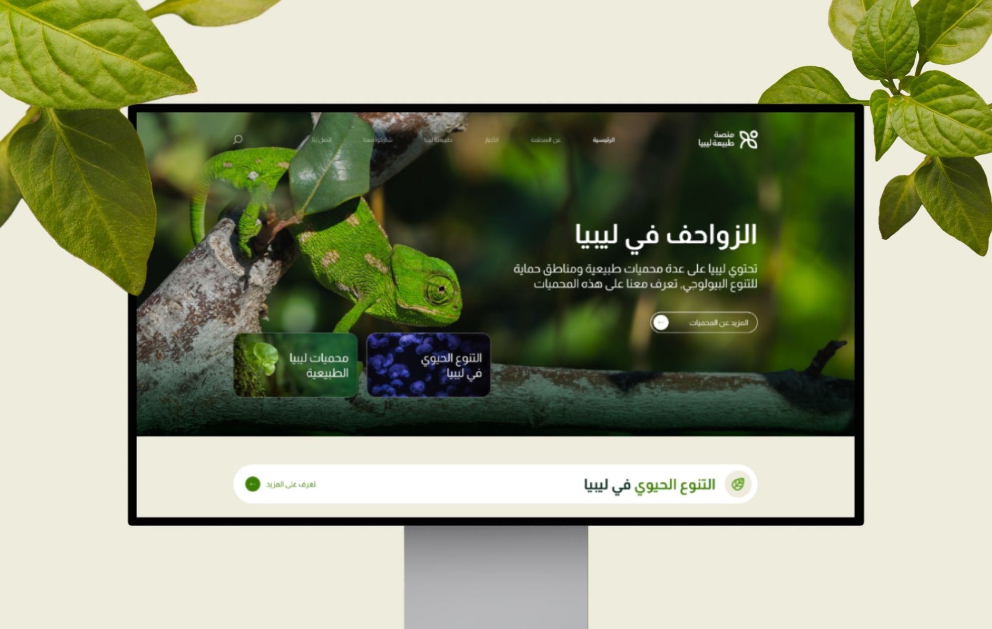 Featured image 31fbdca5