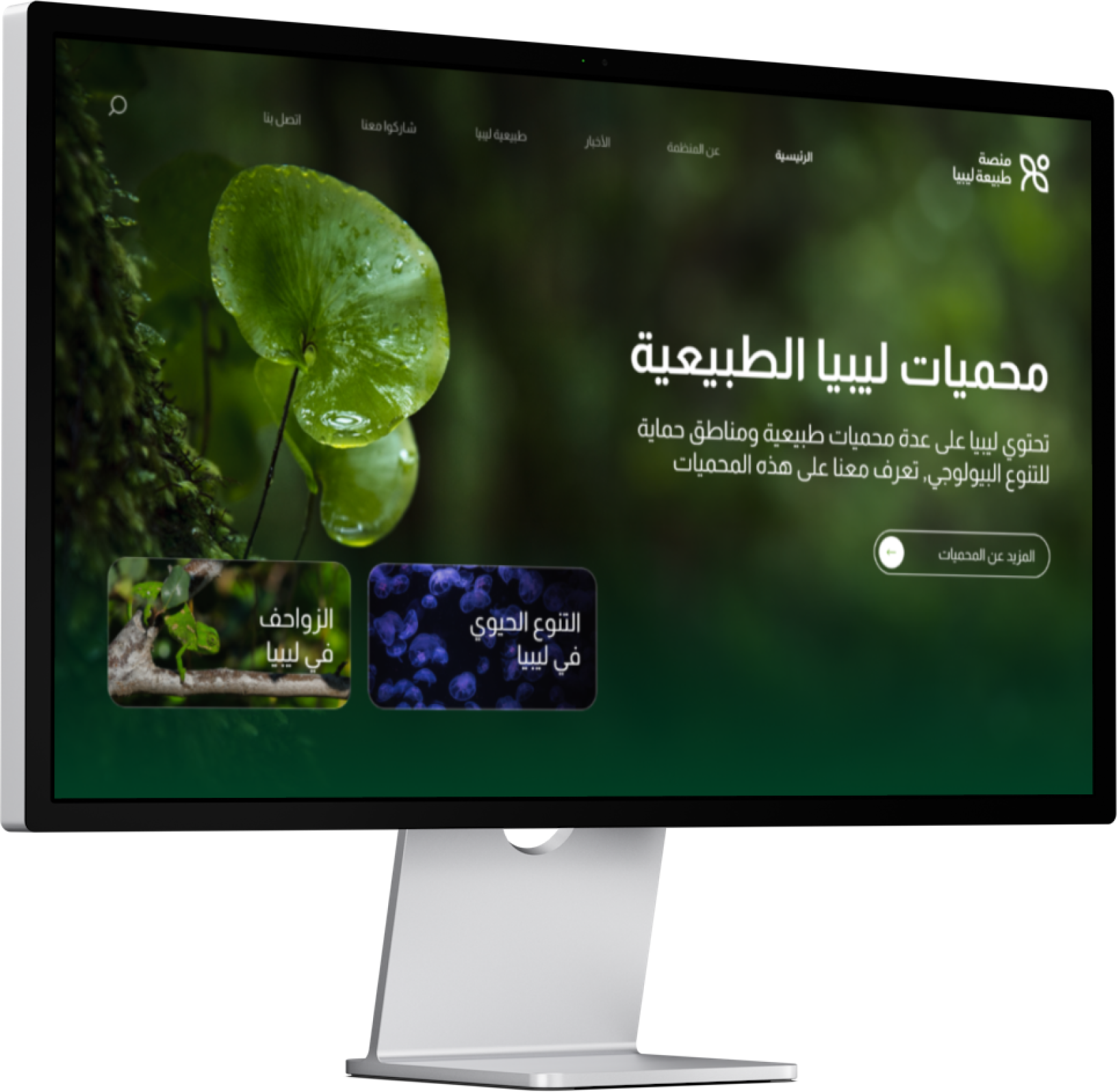 Single page 4513acd2