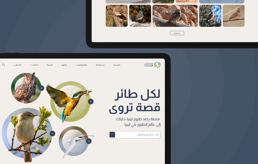 Birds cover 2 48e11ee8