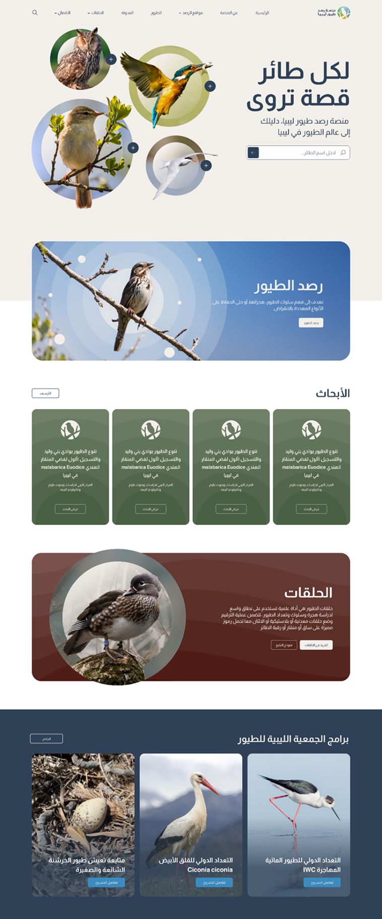 birds Homepage 1 6993180f