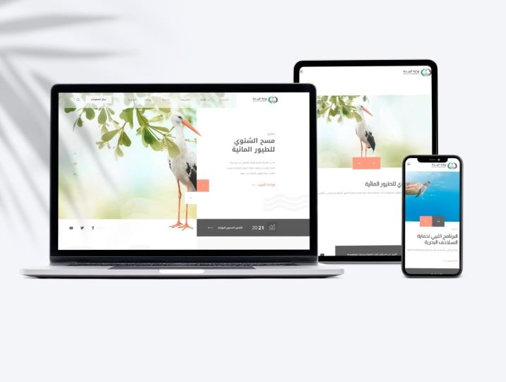 Environment ministry