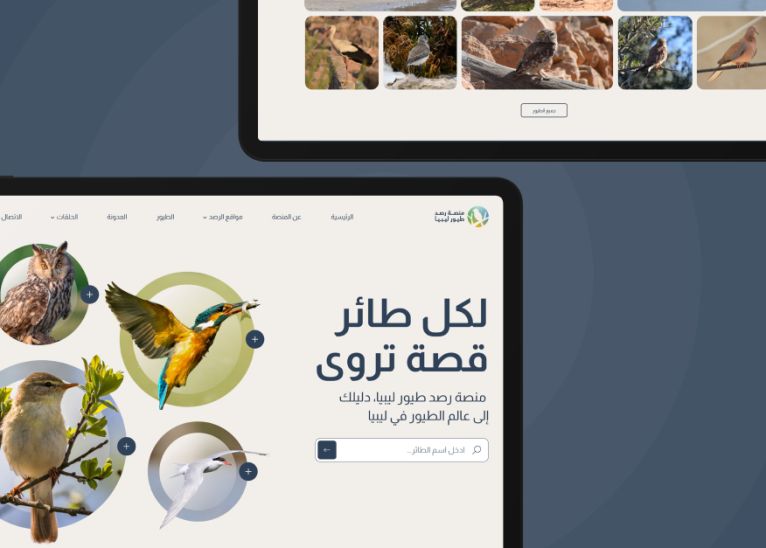 Birds cover 2 898ef84a